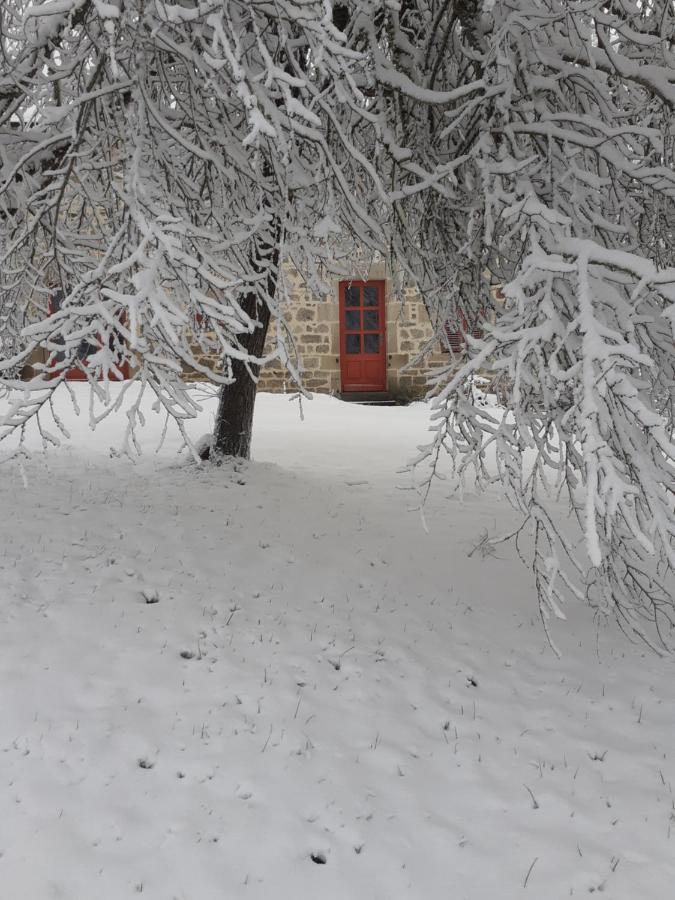 Auverg'Nature Chambre Cocon Espinasse Luaran gambar
