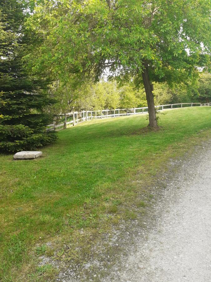 Auverg'Nature Chambre Cocon Espinasse Luaran gambar